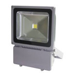 Proiector LED 100W 220V Clasic